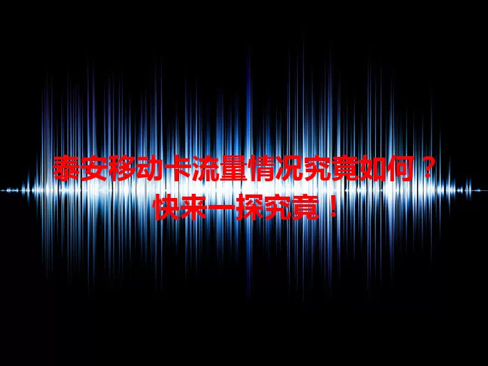 泰安移动卡流量情况究竟如何？快来一探究竟！