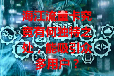 海江流量卡究竟有何独特之处，能吸引众多用户？
