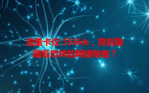 流量卡仅 556kb，背后隐藏着怎样的网络秘密？