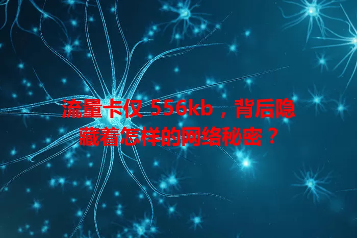 流量卡仅 556kb，背后隐藏着怎样的网络秘密？