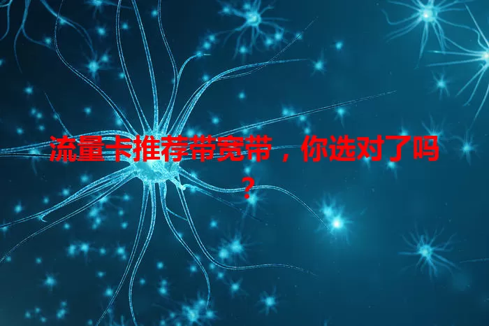 流量卡推荐带宽带，你选对了吗？