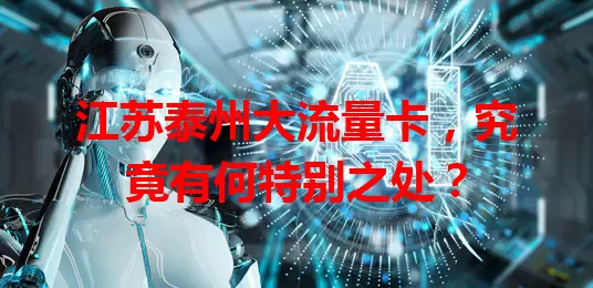 江苏泰州大流量卡，究竟有何特别之处？