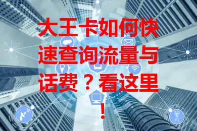 大王卡如何快速查询流量与话费？看这里！