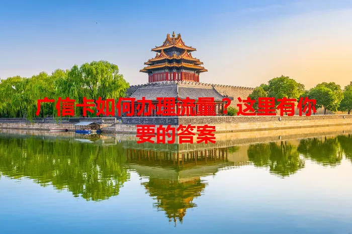 广信卡如何办理流量？这里有你要的答案