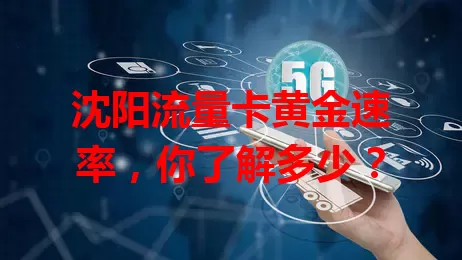沈阳流量卡黄金速率，你了解多少？