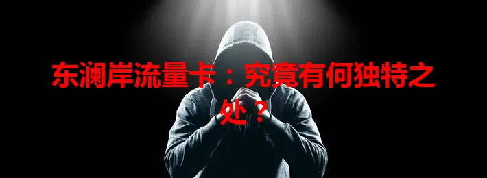 东澜岸流量卡：究竟有何独特之处？