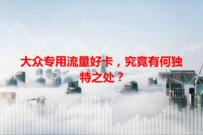 大众专用流量好卡，究竟有何独特之处？