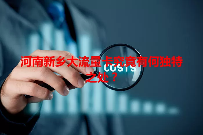 河南新乡大流量卡究竟有何独特之处？