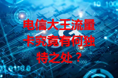 电信大王流量卡究竟有何独特之处？