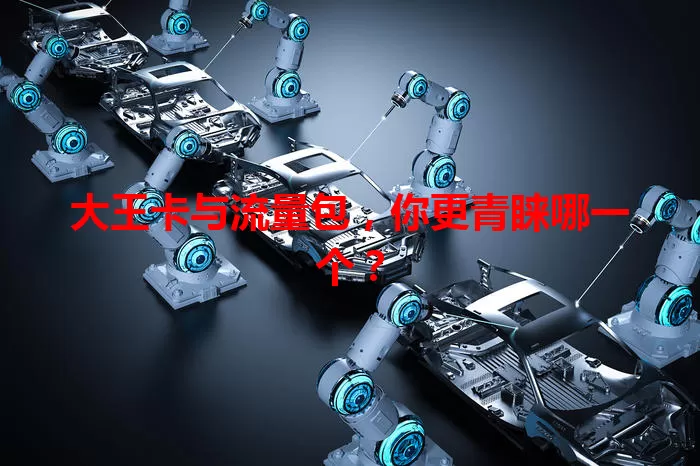 大王卡与流量包，你更青睐哪一个？