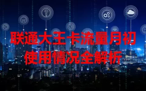 联通大王卡流量月初使用情况全解析