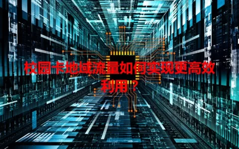 校园卡地域流量如何实现更高效利用？