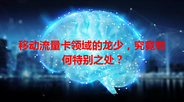 移动流量卡领域的龙少，究竟有何特别之处？