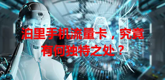 泊里手机流量卡，究竟有何独特之处？