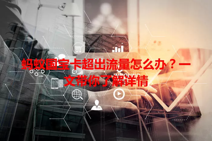 蚂蚁国宝卡超出流量怎么办？一文带你了解详情