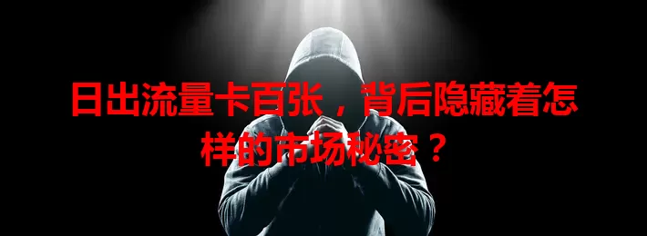 日出流量卡百张，背后隐藏着怎样的市场秘密？