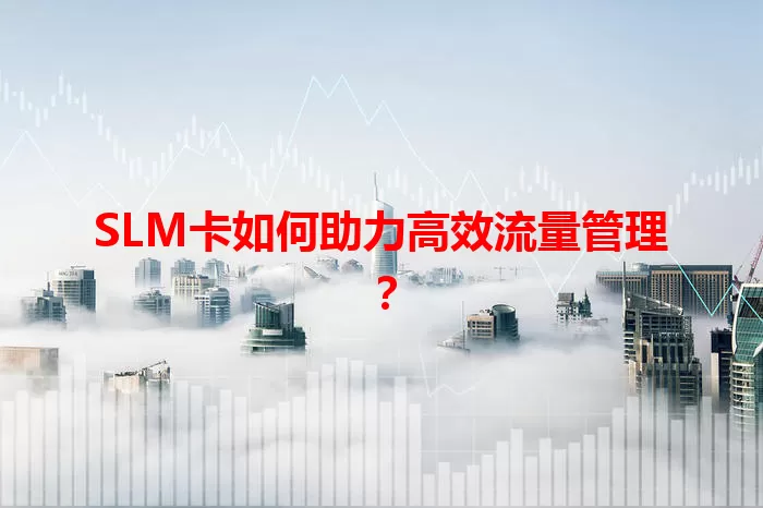 SLM卡如何助力高效流量管理？