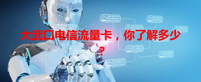 大武口电信流量卡，你了解多少？