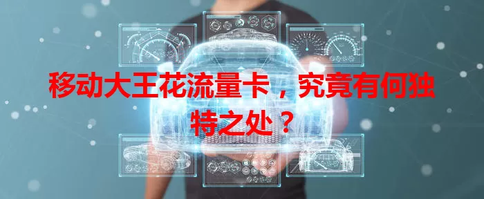 移动大王花流量卡，究竟有何独特之处？