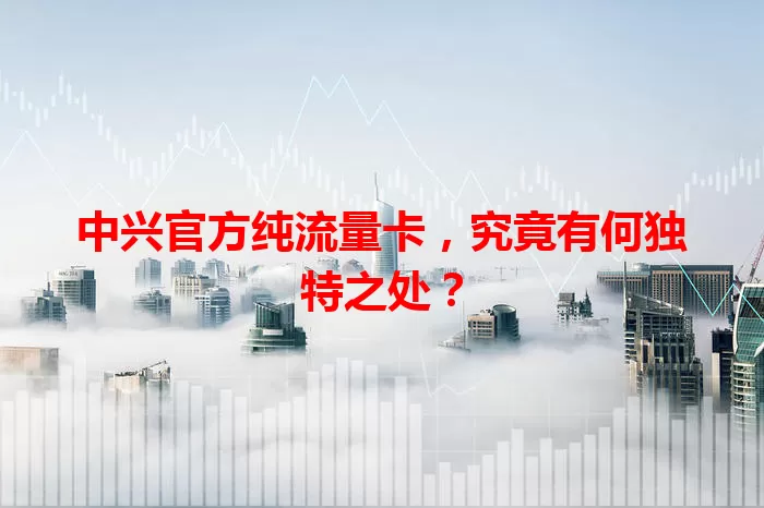 中兴官方纯流量卡，究竟有何独特之处？