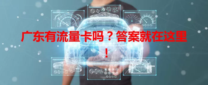 广东有流量卡吗？答案就在这里！