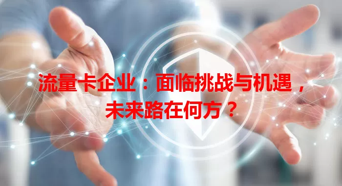 流量卡企业：面临挑战与机遇，未来路在何方？