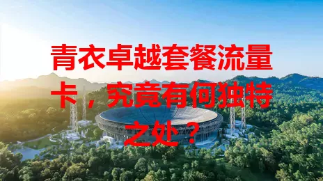 青衣卓越套餐流量卡，究竟有何独特之处？
