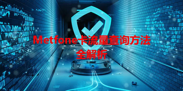 Metfone卡流量查询方法全解析
