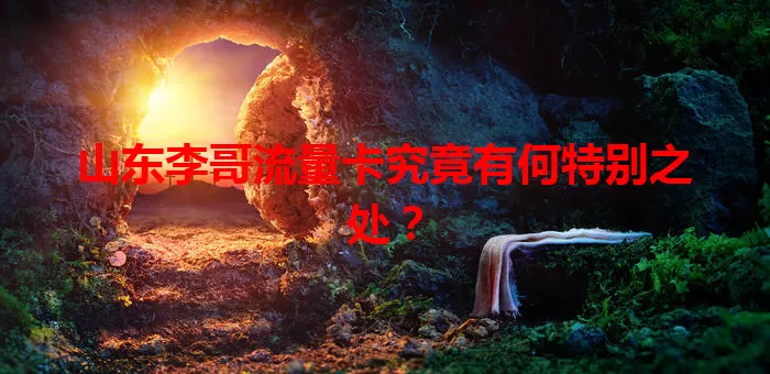 山东李哥流量卡究竟有何特别之处？